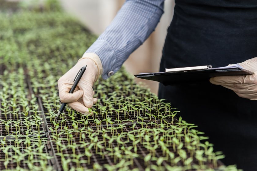 The government has confirmed its plans to advance precision breeding technology in the UK