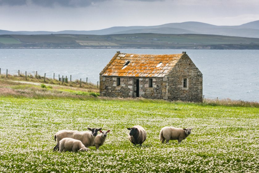 The seven projects aim to help farmers and crofters access resources and develop new skills