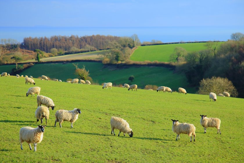 Farmers in the restricted zone must follow restrictions on animal and germinal product movements