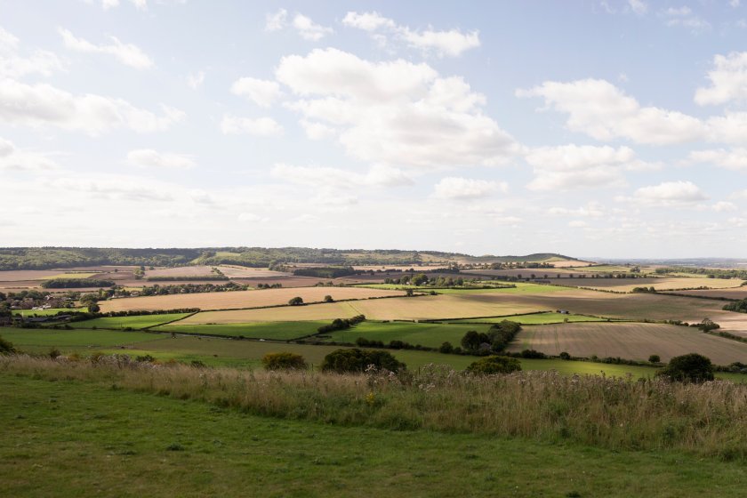 Speculation continues to grow that the Autumn Budget will include major tax reform which could impact farmers