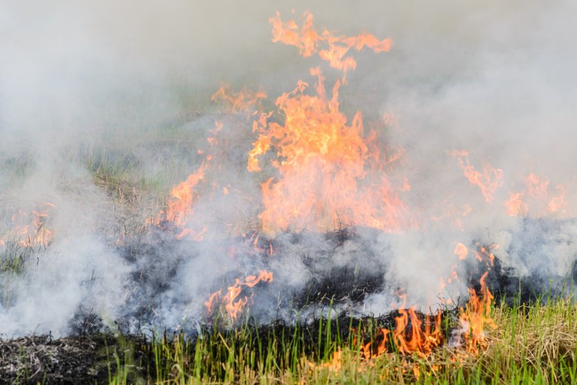 The importance for farmers to follow fire control plans has been highlighted after the incident