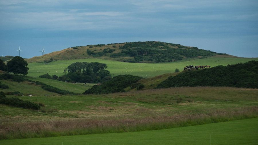 A new report has revealed significant progress in landlord-tenant relations within Scottish farming