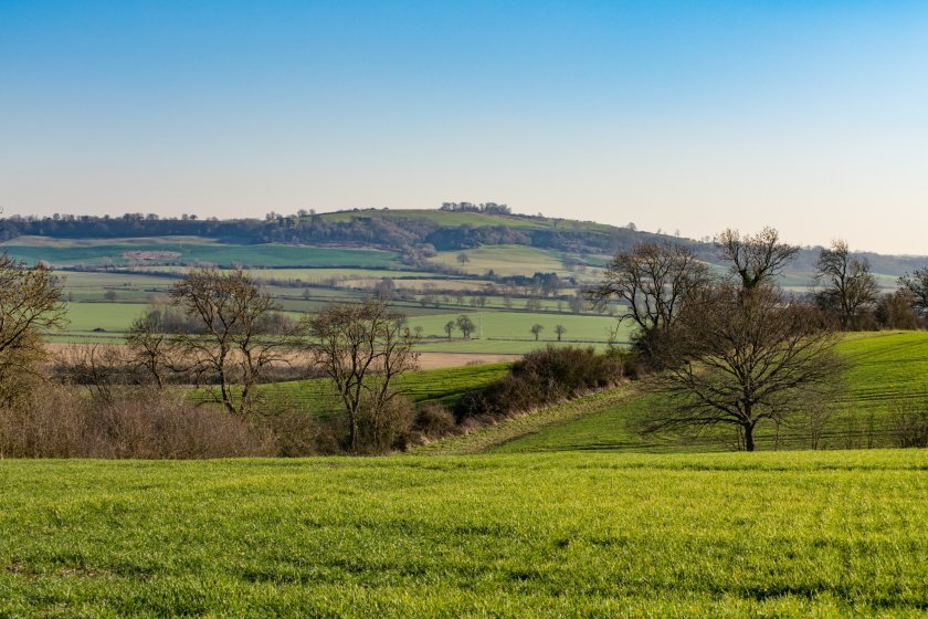 Some buyers and sellers have accelerated their activity ahead of the autumn budget