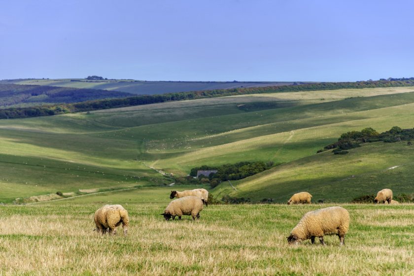 Pasture and Profit in Protected Landscapes is a free programme of knowledge exchange