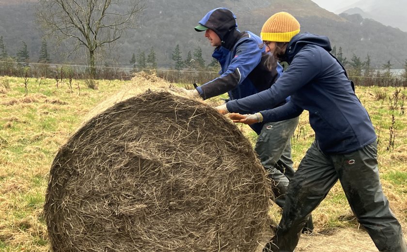 The project looked in detail at seven beef farms across the UK that are currently bale grazing