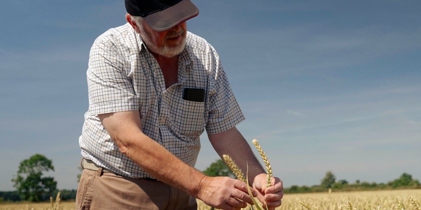 Farmers receive incentive payments for each hectare farmed using regenerative farming methods