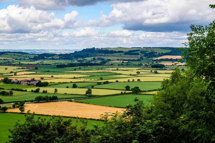 Over three-quarters of UK adults agreed that farming was a 'trustworthy profession'