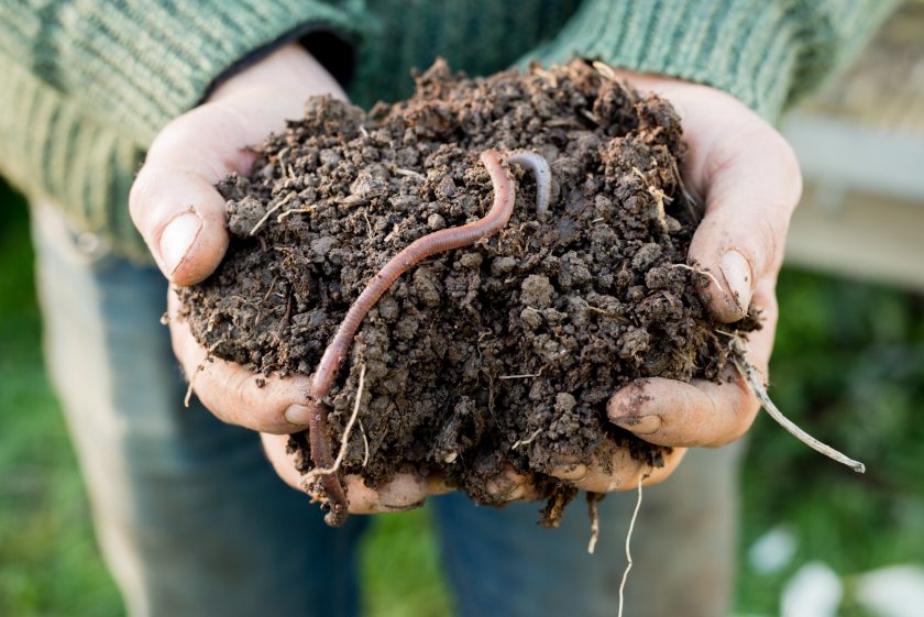 NRM has published data on soil organic matter levels, gathered from over 11,000 samples