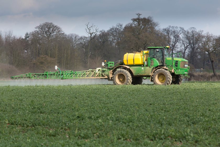 While the national picture varies, later-drilled crops are still small and weeds are only just coming through