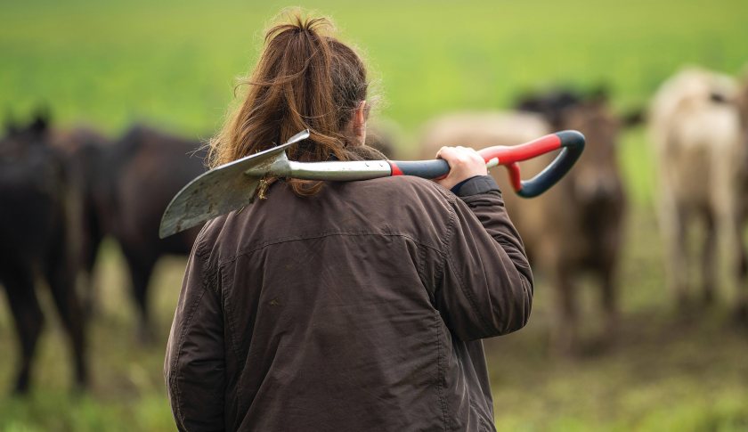 The report found that most farmers think financial risks are barriers to transition to greener systems