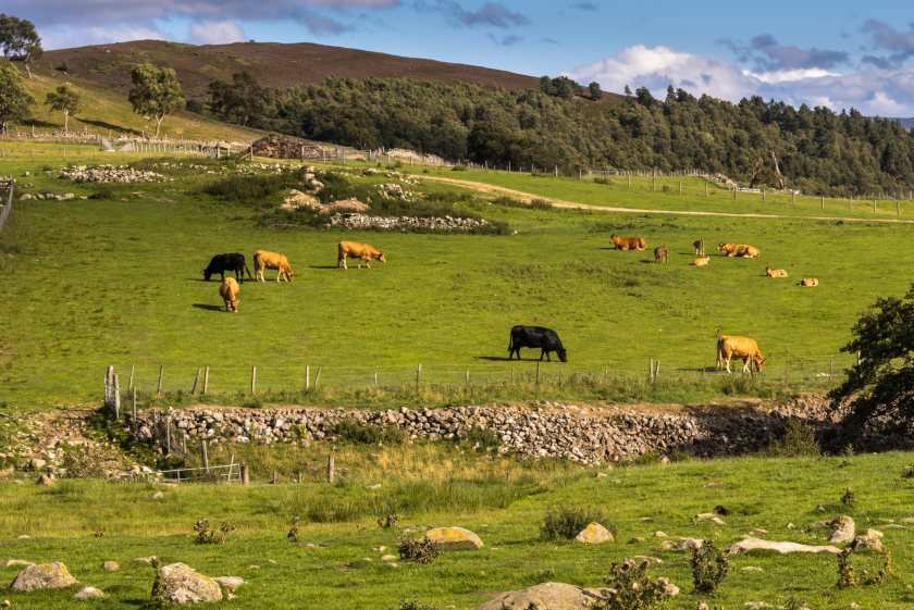 Farming and rural groups have voiced their concern to the proposed national park