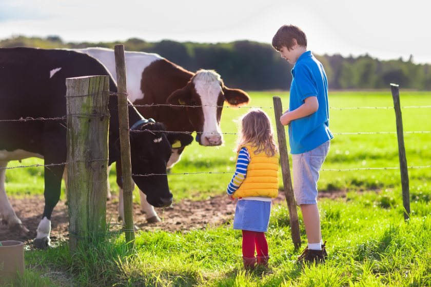 Calls from farmers and the public for the government to overturn the 'family farm tax' have gathered pace