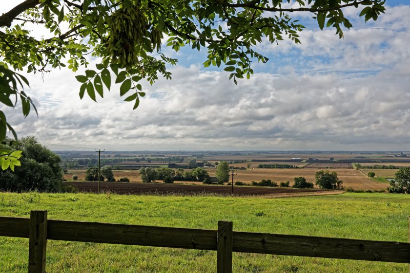 The Central Association of Agricultural Valuers warns that the budget changes will be 'costly' to farms