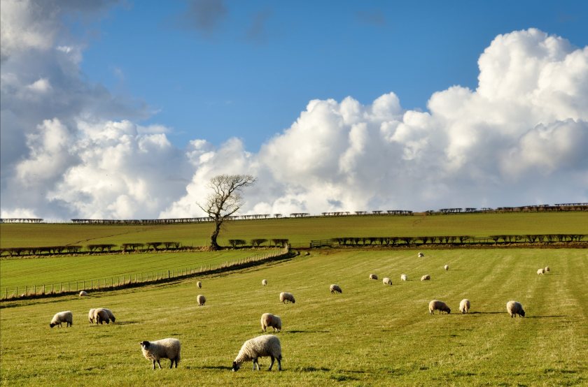 Only 50% of farm owners have made a will, committing their promises to paper 