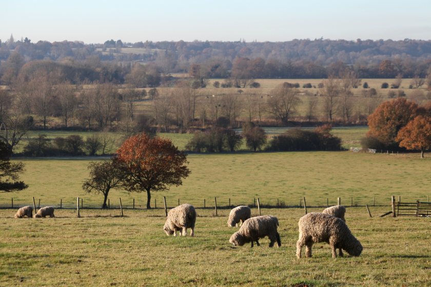 Farming businesses have seen a reduction in direct payments and one of the wettest winters in decades