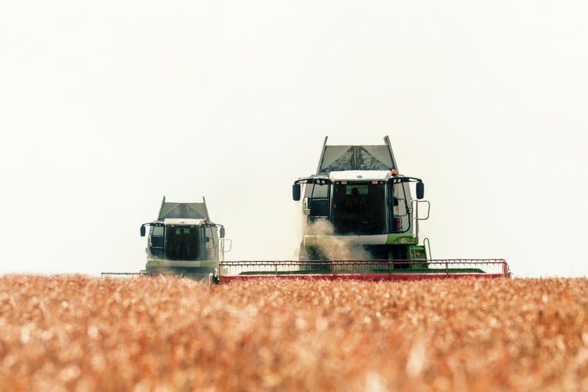 The report says a new UK agri-tech strategy, as well as government support, is needed to 'maintain momentum'