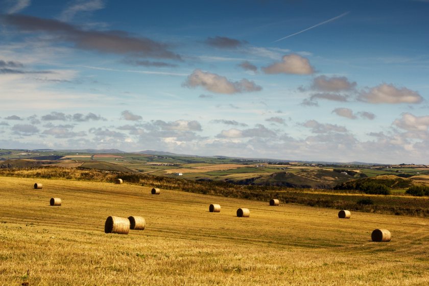 The government has 'missed large parts of farming' in its calculations, experts at CAAV suggest