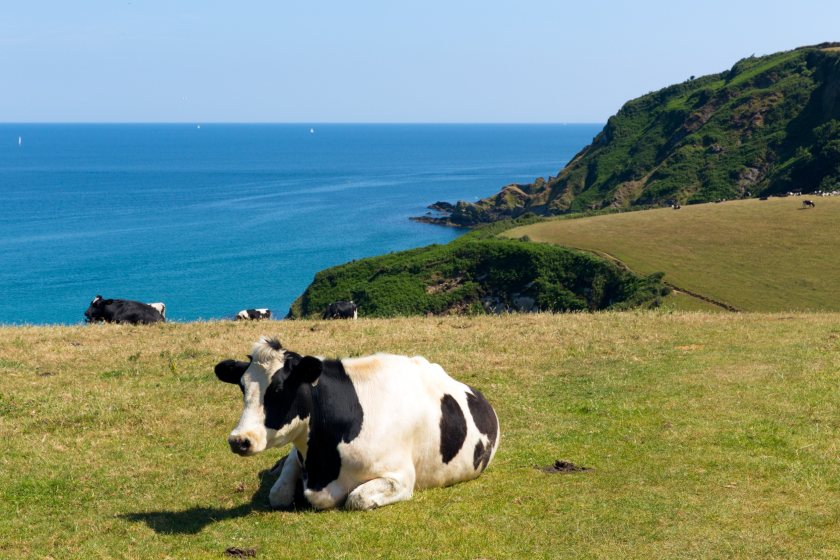 The motion, the first of its kind since the budget, calls on the government to 'stop the family farm tax'