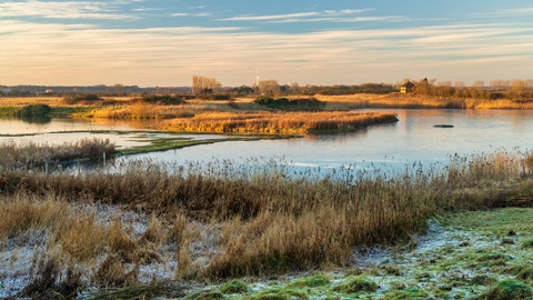 (Photo: Yorkshire Wildlife Trust)