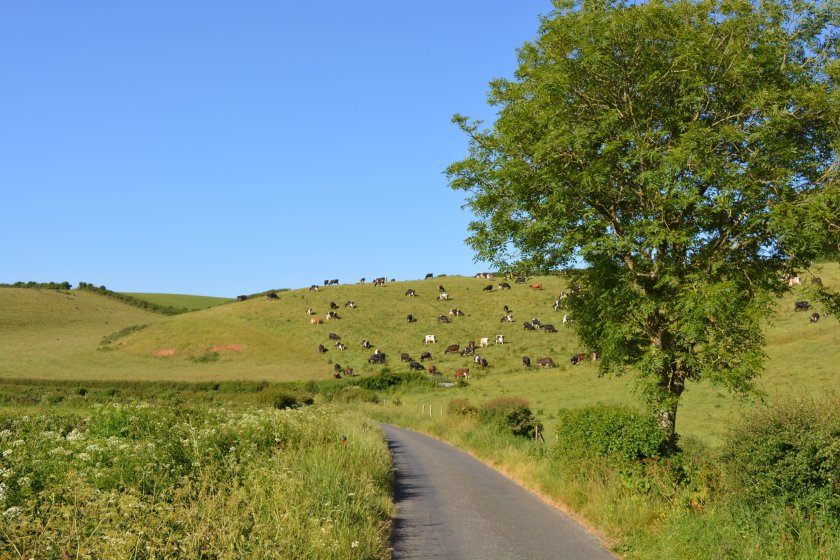 Councillors said the pro-vegan motion was 'bad timing' for the county's farmers