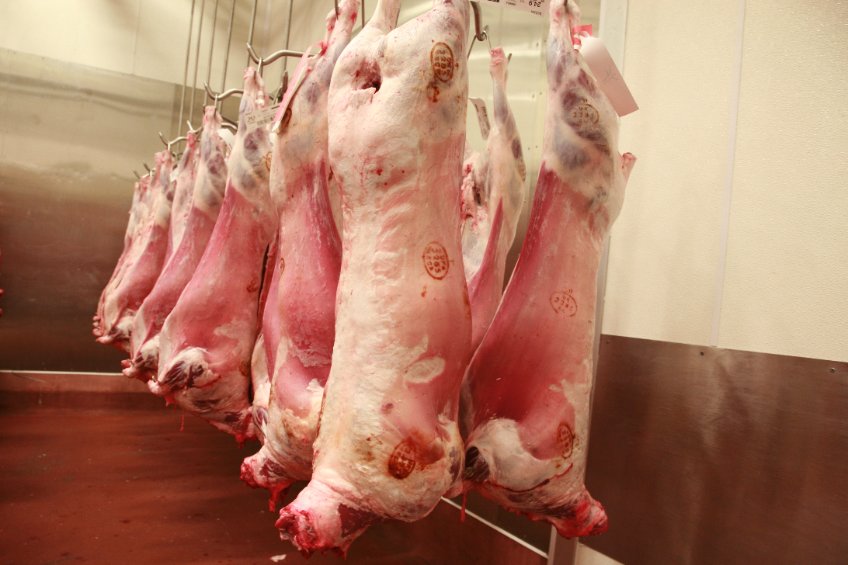 There were over 30 million animals slaughtered without pre-stunning in the UK this year alone