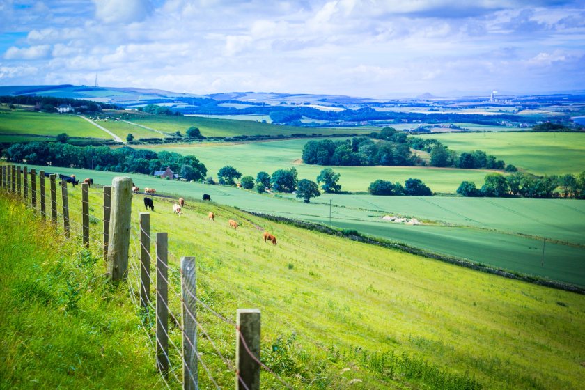 The Scottish government has pledged over £660m to support Scotland’s farmers and crofters