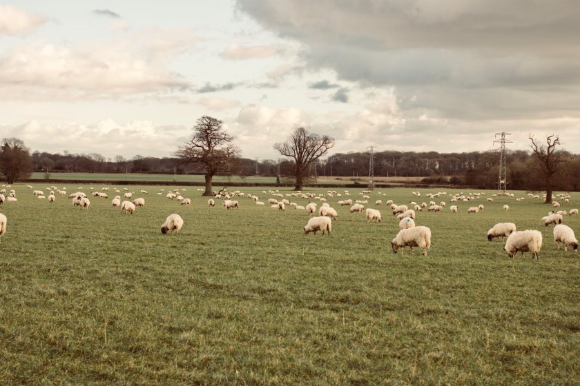 Industry bodies are urging farmers across the country to 'stay on their guard and keep testing'. 