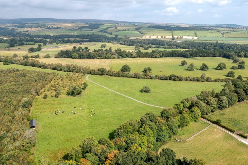 (Photo: The Lartington Estate)