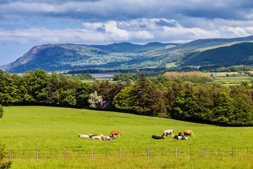 Payments worth £66.8 million have been issued to 15,300 farming businesses across Wales