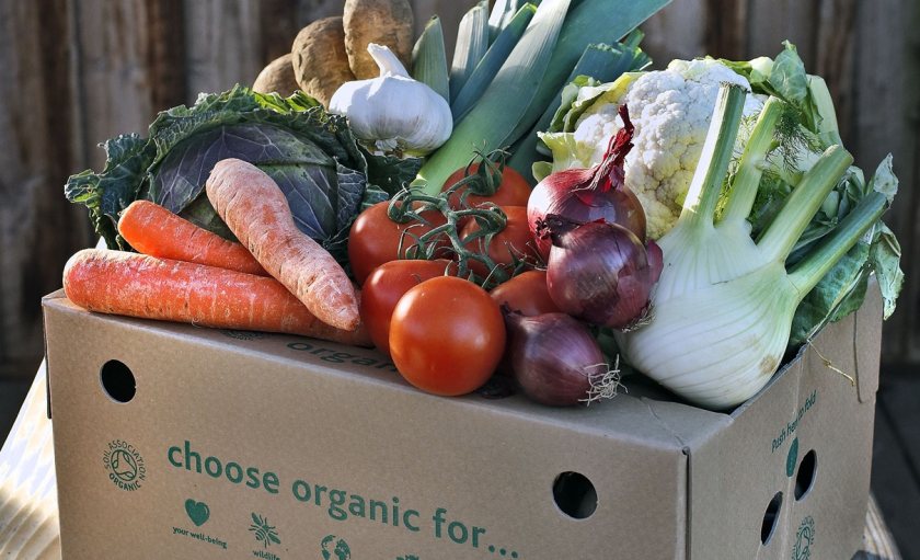 Green groups are calling for an 'organic action plan' to be devised by the government