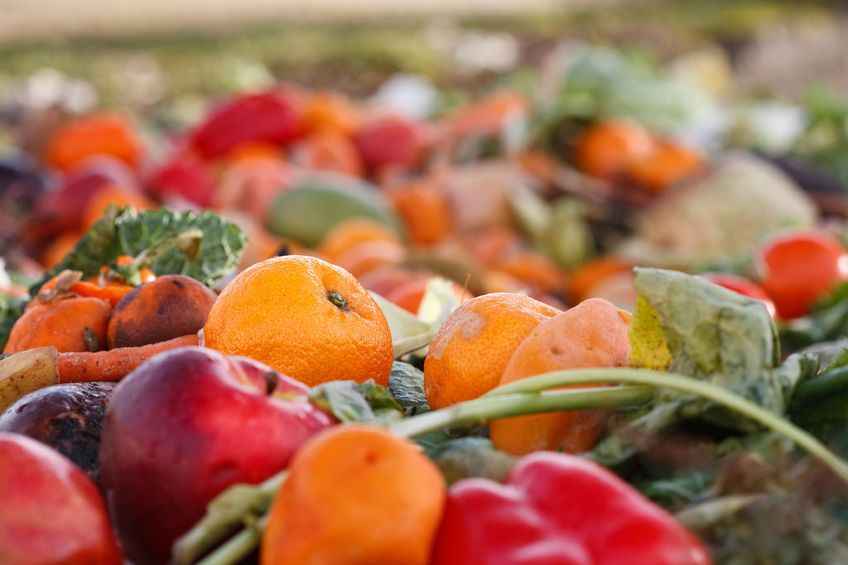 The government's new food waste scheme will see grants starting from £20,000