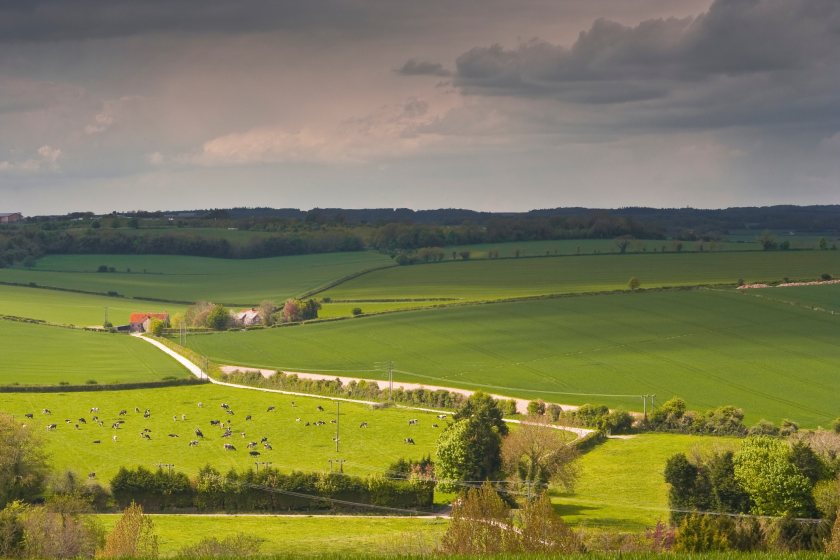 The results would see a dramatic change in the electoral landscape of rural Britain