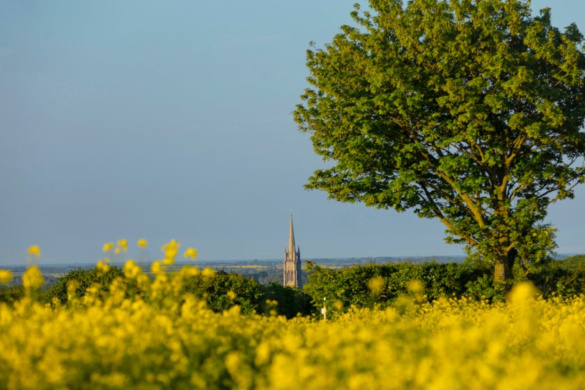 The National Trust has today unveiled a new 10-year strategy to boost nature