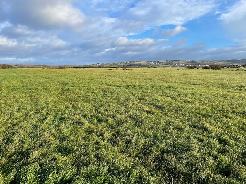 Leaze Farm 