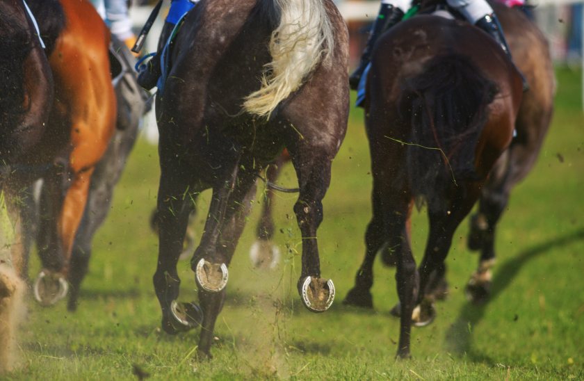 Fakenham Racecourse hopes to fill the car park in the centre of the track with tractors