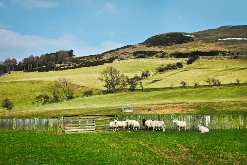 The latest farm income figures have shone a light on the challenges facing Welsh farmers