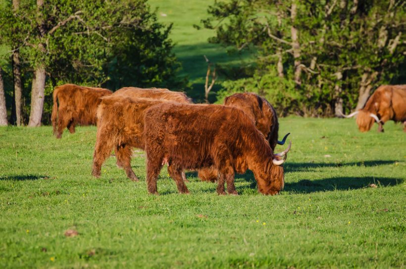 The Crown Estate is seeking to support its tenant farmers to transition to a 'future farming model'