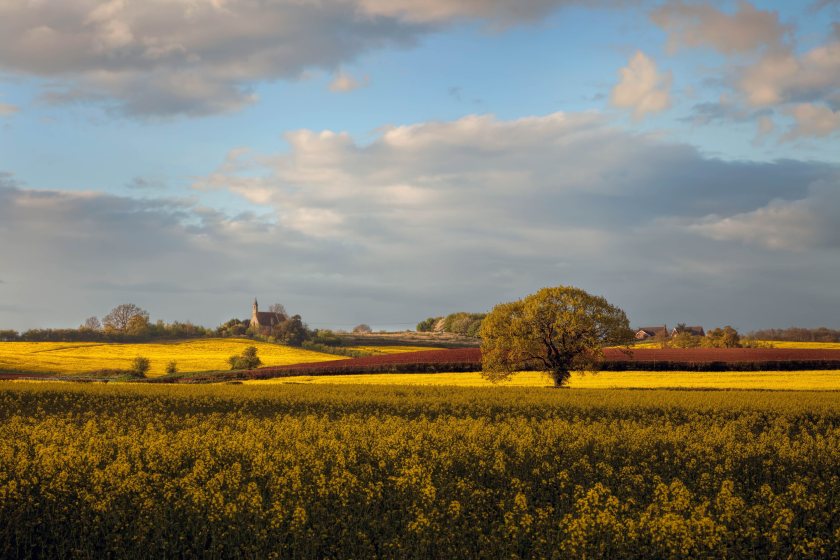 Farmland values remain stable despite headwinds such as inheritance tax changes, Strutt & Parker says