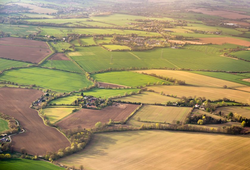 MPs warn that the UK's dependence on some food imports are at the highest since records began