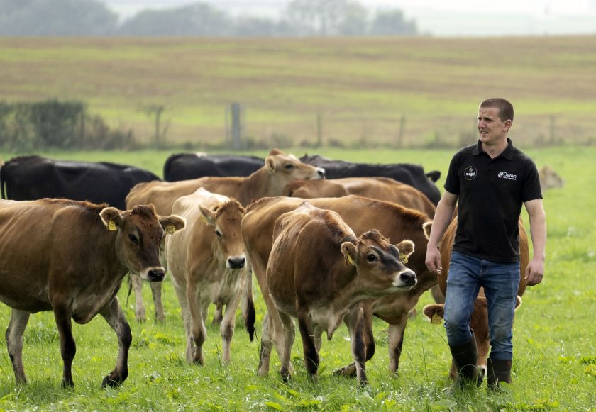 The Strategic Dairy Farm programme aims to improve farm business resilience within UK dairy