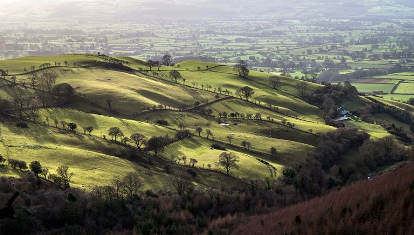 The new funding formula 'will not recognise' the higher proportion of farmers in Wales compared to the rest of the UK