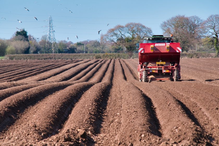 The survey, by frozen potato firm McCain, reveals that rising energy costs is a major concern