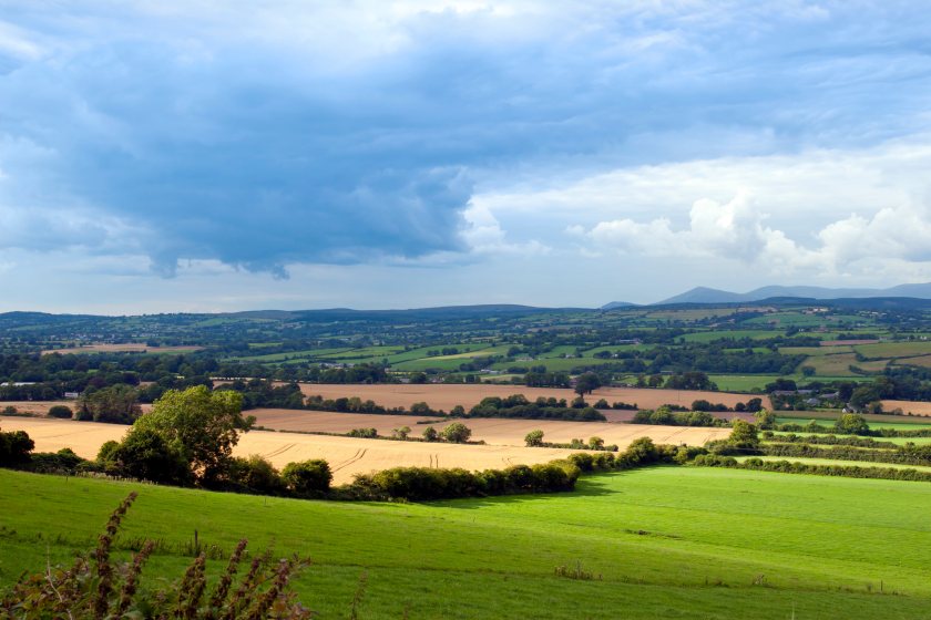 The report calls for an update to the current system and enshrine protections for high-quality farmland