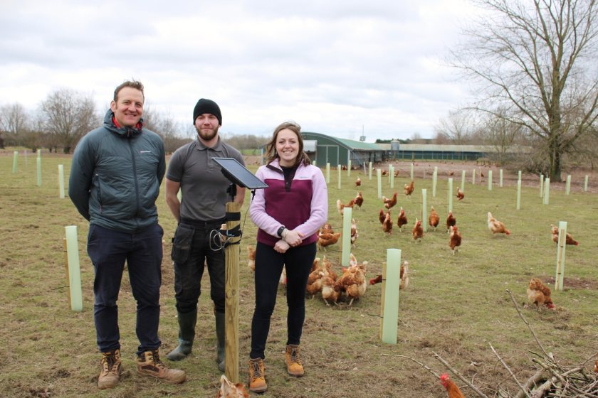 Organic egg farm adopts bioacoustic technology to monitor bees ...