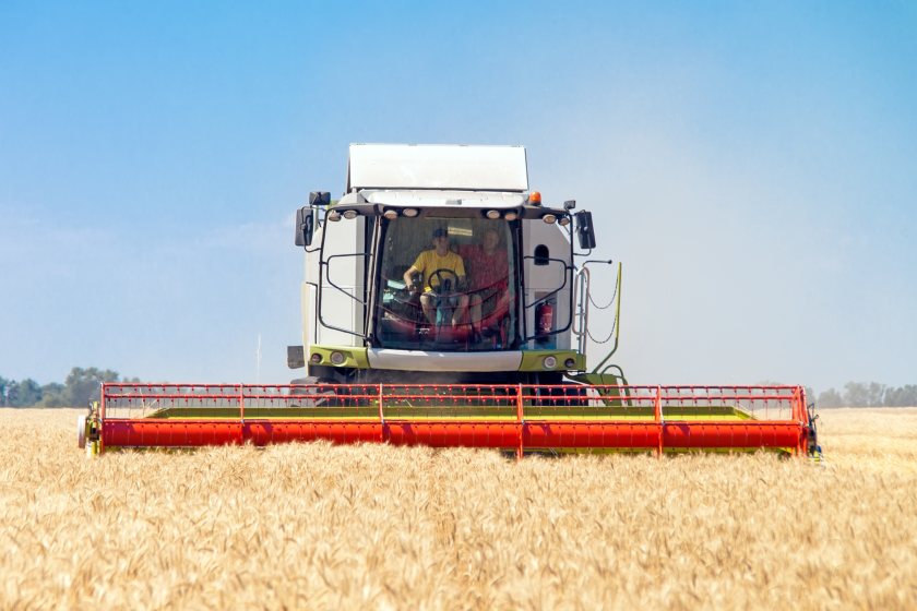 Last year's smaller harvest in the UK is leading to an increased reliance on imports, AHDB says