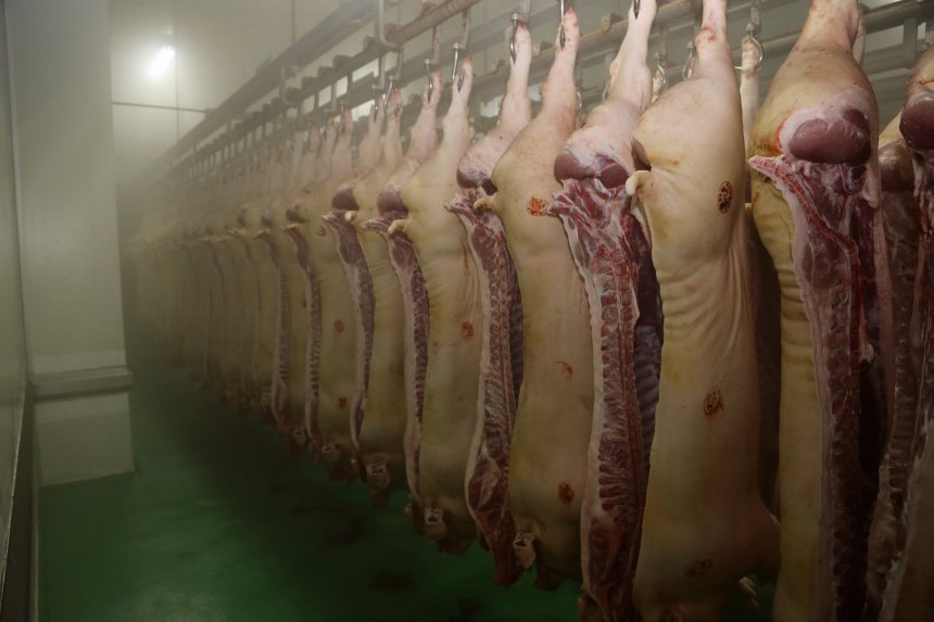 Abattoirs have already declined from 2,500 in the 1970s to just 200 today