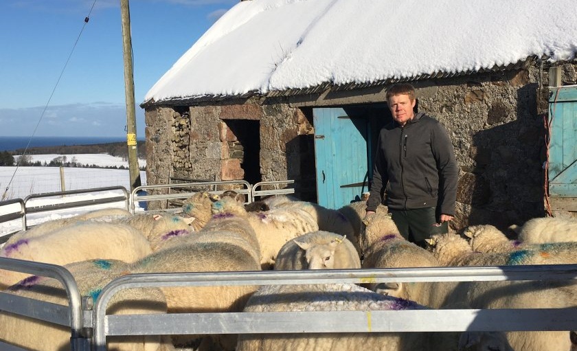 Sheep farmer Tim Eagle is calling on the Scottish government to act tougher on the crime